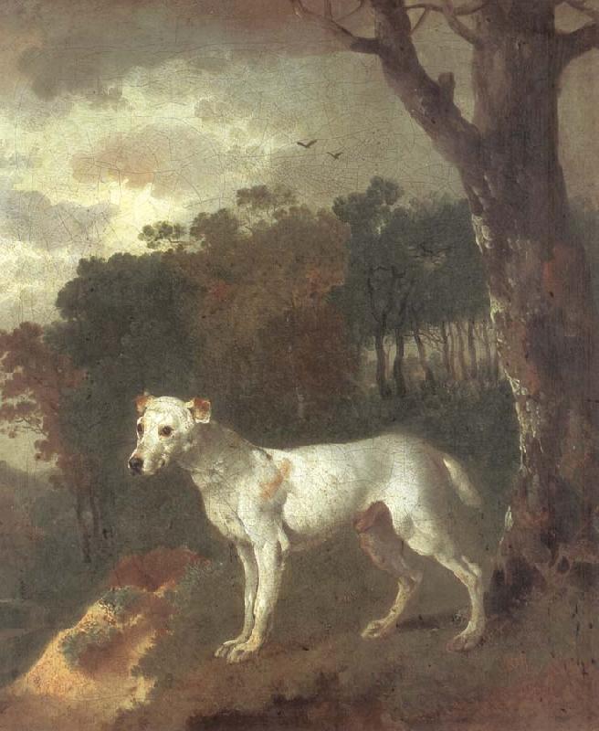Thomas Gainsborough Bumper,a Bull Terrier Sweden oil painting art